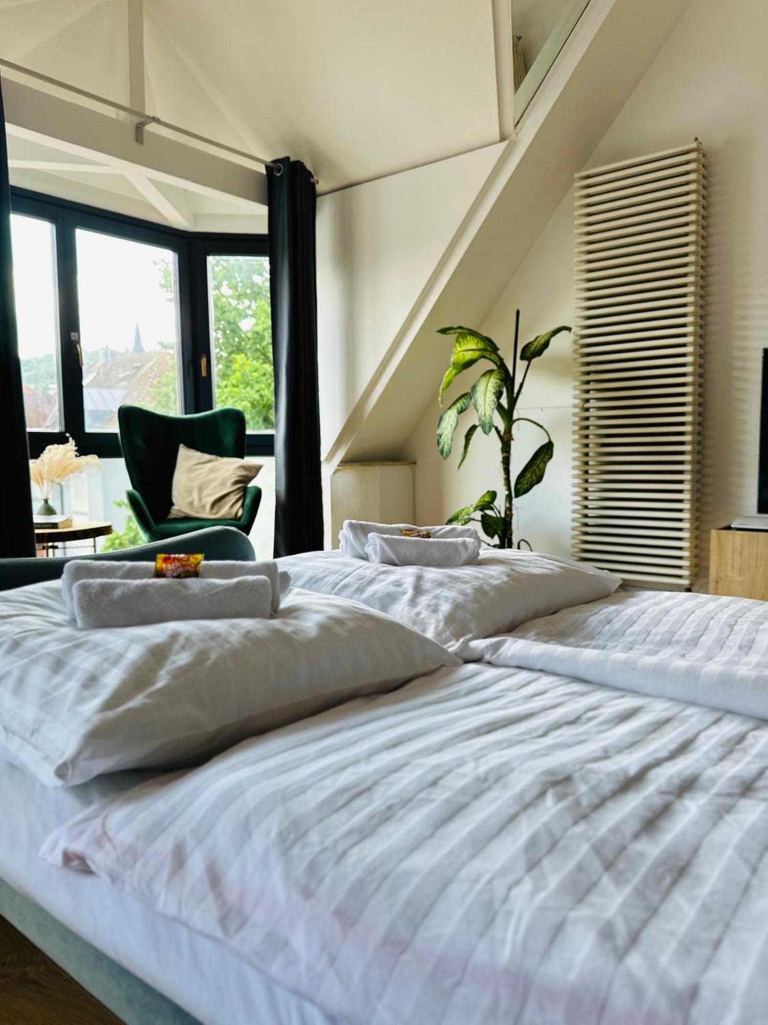 Amao-Green I 90Qm I Penthouse Maisonette Mit Rooftop I City Center I King-Size Betten Lahr  Exterior foto